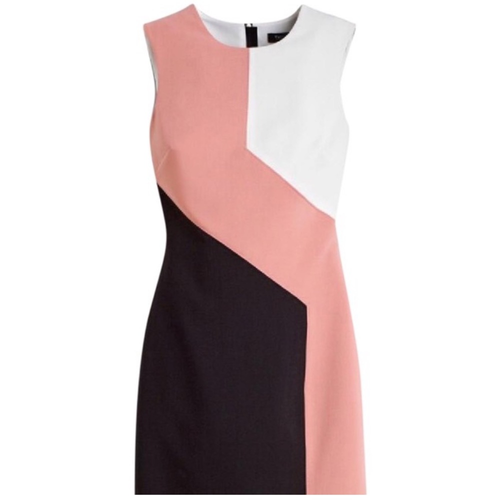 WHBM Rich Blush Collection Work/Office Dress